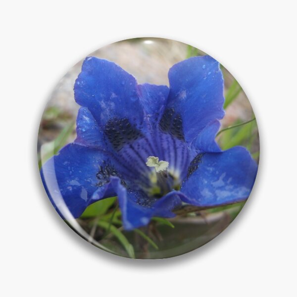 Item preview, Alpine Gentian designed and sold by bethanyasmith42.