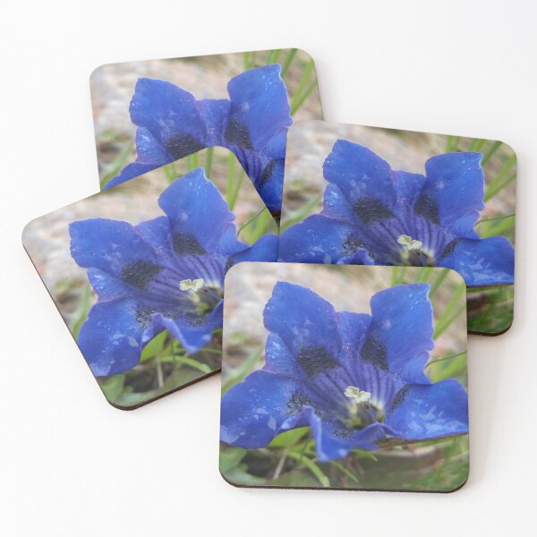 Item preview, Alpine Gentian designed and sold by Extreme Pancake Rat artistry.