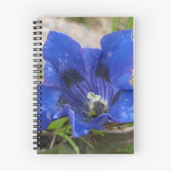 Item preview, Alpine Gentian designed and sold by bethanyasmith42.