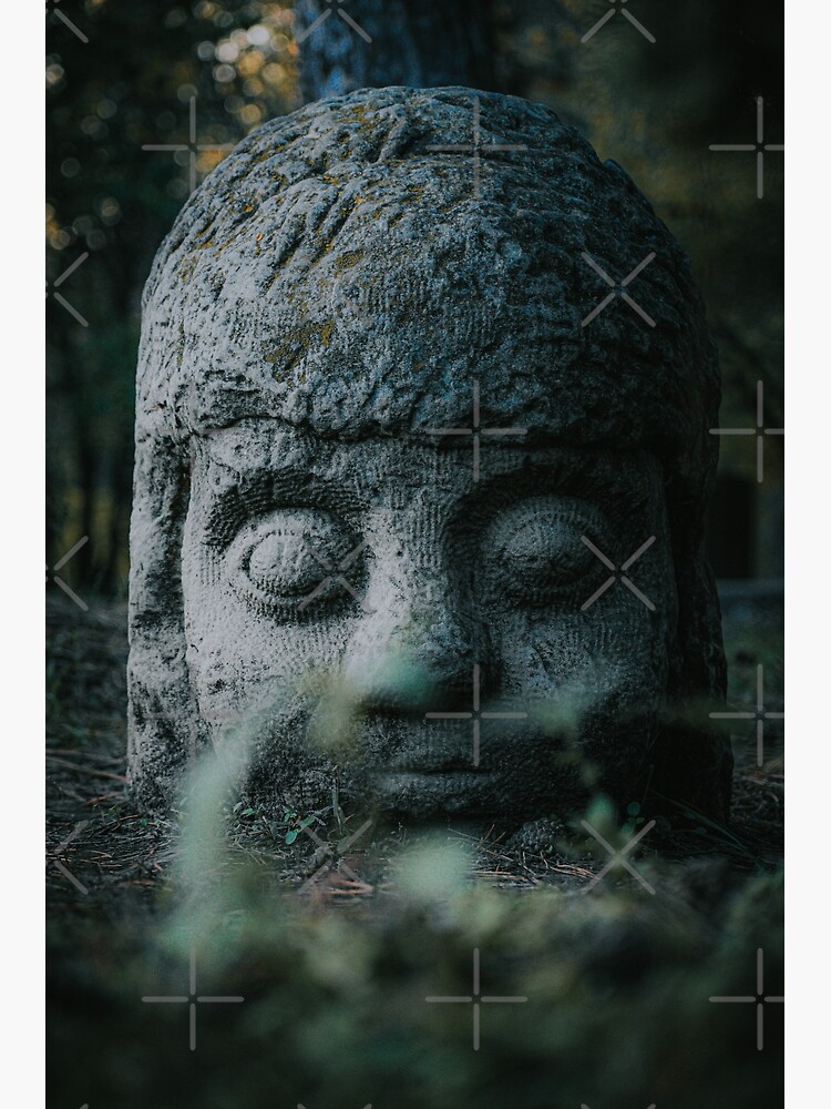 Stone Head by didssph-prints