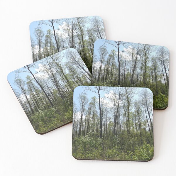 Item preview, Forest designed and sold by bethanyasmith42.