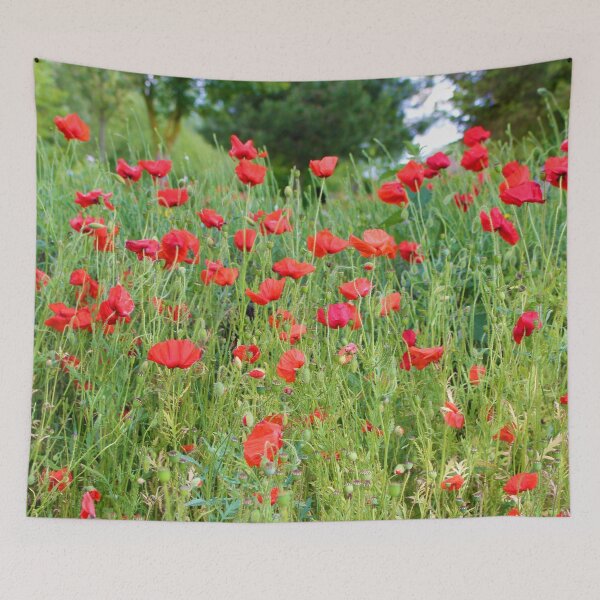 Aperçu de l'œuvre Coquelicots créée et vendue par lesleywey.