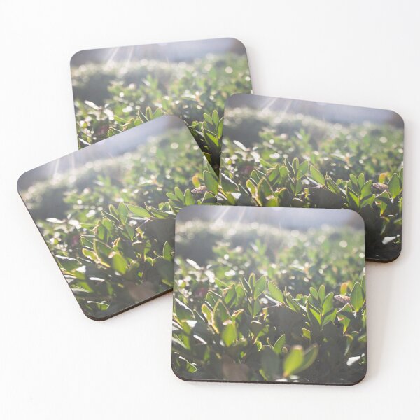 Item preview, Leaflets designed and sold by KristenRV.