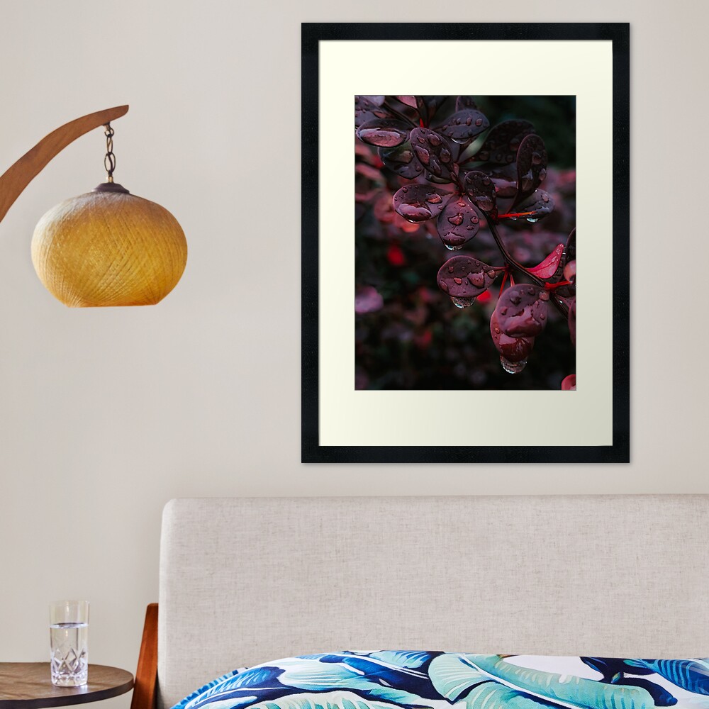 Wet Red Leaves Framed Art Print