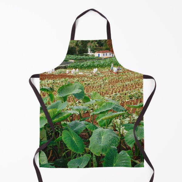 Item preview, Taro field designed and sold by Gaspar Avila.