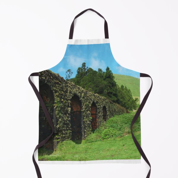 Item preview, Aqueduct designed and sold by Gaspar Avila.