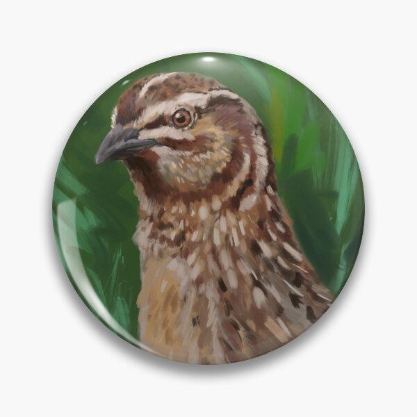 Item preview, Common Quail bust artwork designed and sold by SavouryFinch.