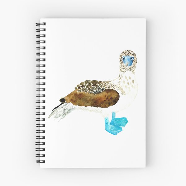 Item preview, Blue Footed Booby II designed and sold by Sonoran Glimmer.