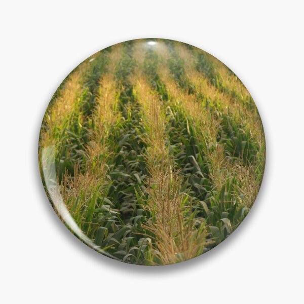 Item preview, Corn field designed and sold by Gaspar Avila.
