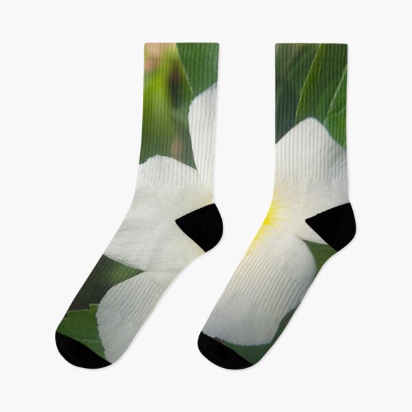 Item preview, Closeup of White and Yellow Flower designed and sold by UrsulaFashion.