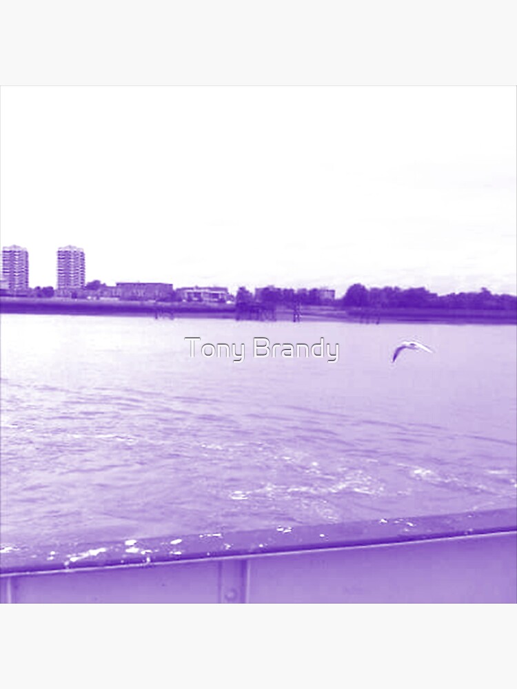 Woolwich Ferry 0062 by anthonyx00
