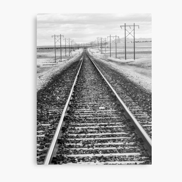 Tracks BW Metal Print