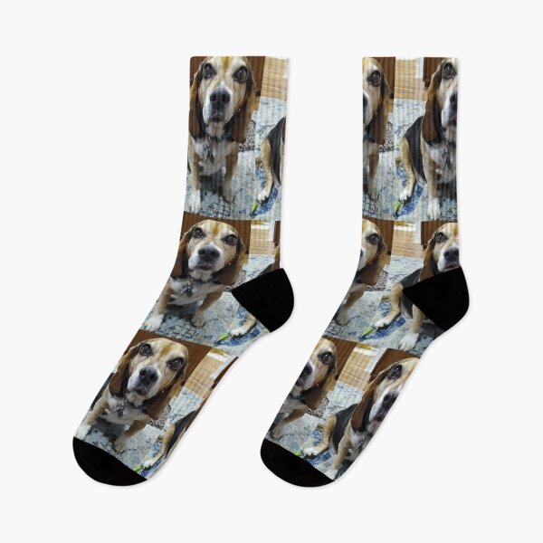 Item preview, My Baby Beagle Boy designed and sold by Suziemarie.