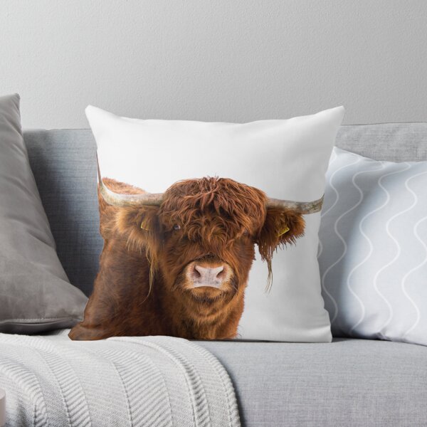 Cheeky Moo, Highland Cow Apron for Sale by Jane Stanley