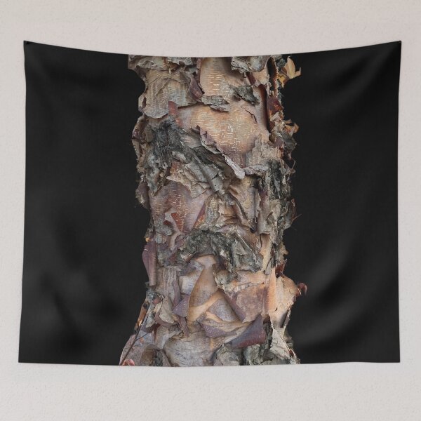 Item preview, Birch Bark  designed and sold by Lians.
