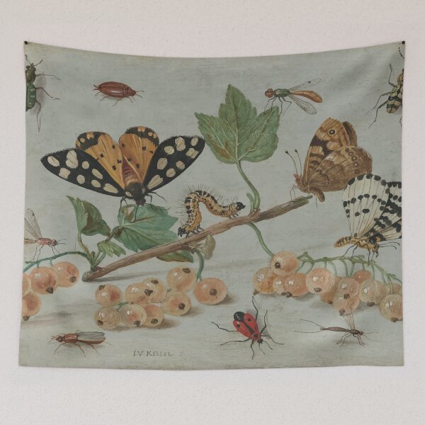 Item preview, Jan van Kessel | Insects and Fruit designed and sold by badguyduh.
