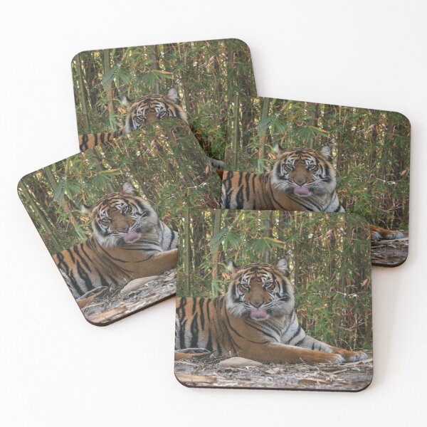 Item preview, Tiger Laps Tongue Lying Among Bamboo designed and sold by KbytesOfJax Outdoor and Nature.
