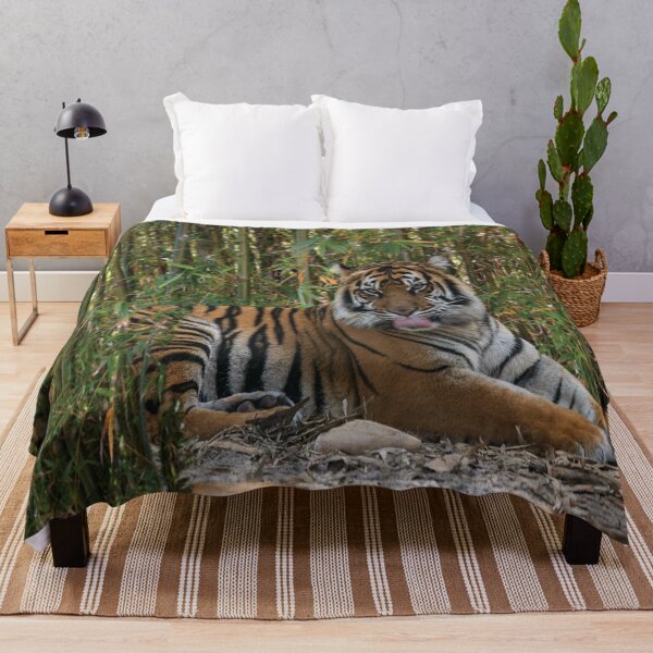 Item preview, Tiger Laps Tongue Lying Among Bamboo designed and sold by KbytesOfJax Outdoor and Nature.
