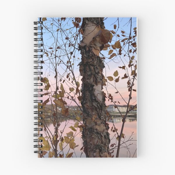 Item preview, Peeled Birch Bark-1 designed and sold by Lians.