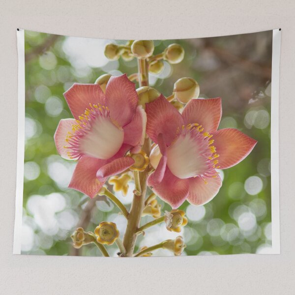 Item preview, Pink flower of cannon ball flower designed and sold by krisgreenwood.