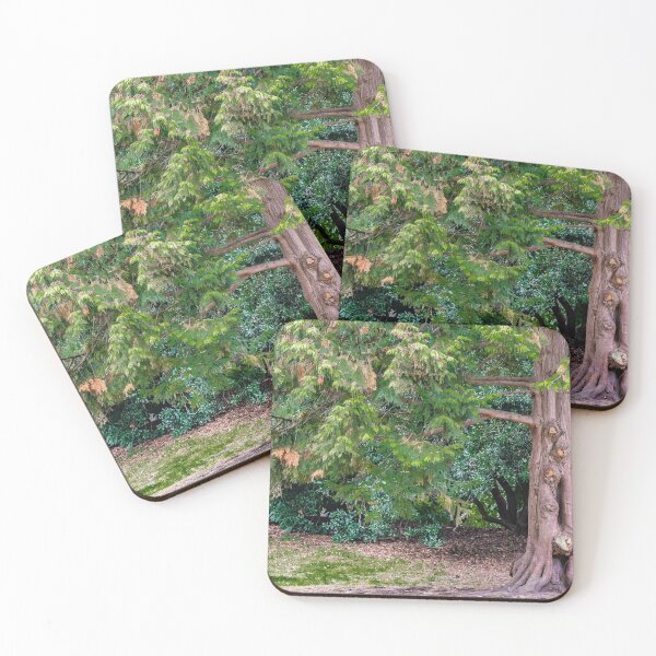 Item preview, Arms Wide Open designed and sold by debbieannpowell.