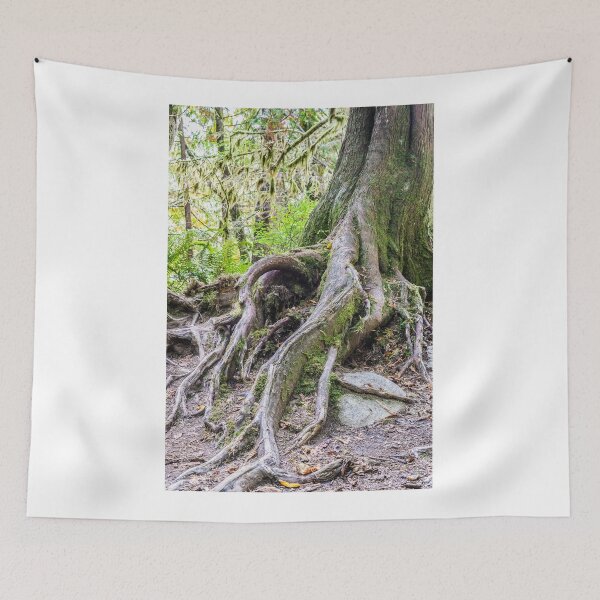 Item preview, Moss Exposed designed and sold by debbieannpowell.