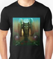 Order And Serenity Unisex T-Shirt