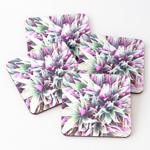 Item preview, Flowering Rohia - Spiky Leaf Plant designed and sold by Trixiloo.