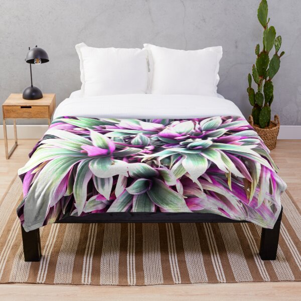 Aperçu de l'œuvre Floraison Rohia - Plante à feuilles épineuses créée et vendue par Trixiloo.