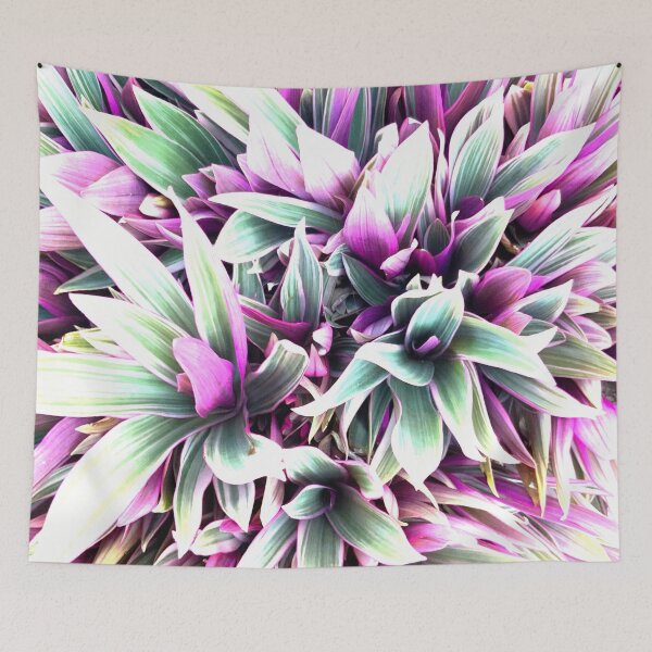 Item preview, Flowering Rohia - Spiky Leaf Plant designed and sold by Trixiloo.