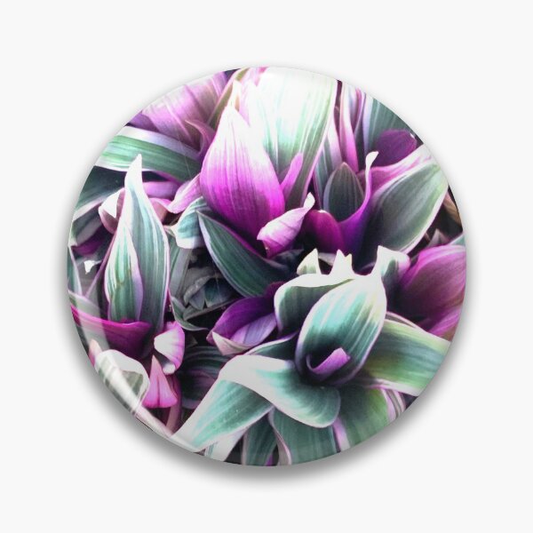 Item preview, Flowering Rohia - Spiky Leaf Plant designed and sold by Trixiloo.