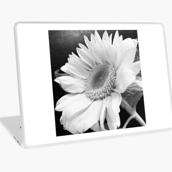 Sunflower black and white close up. Laptop Skin