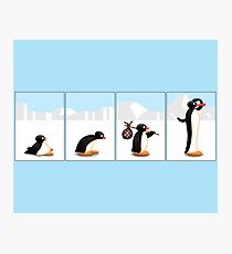 The penguin evolution Photographic Print