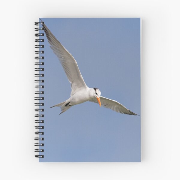 Item preview, Royal Tern in Flight designed and sold by WorldDesign.