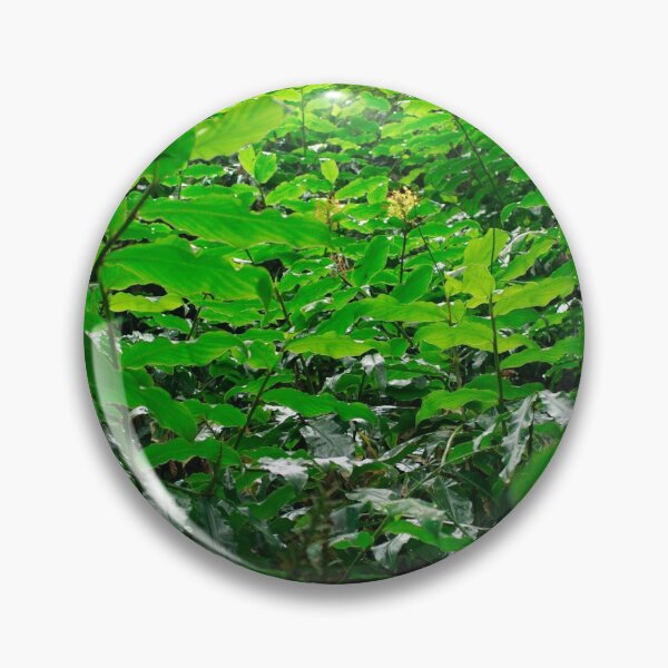 Artikelvorschau, Green foliage entworfen und verkauft von Gaspar Avila.