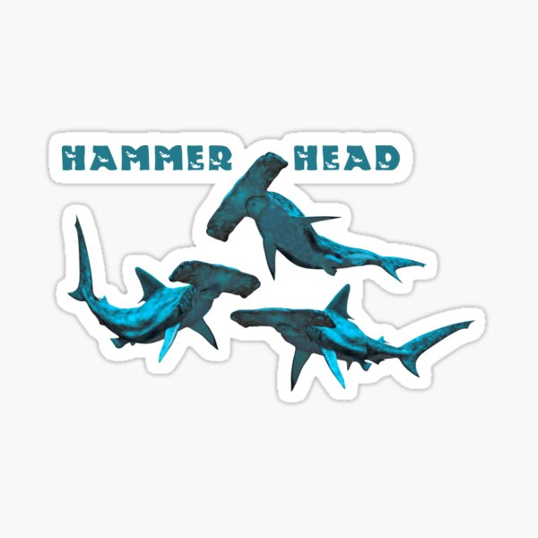Hammerhead Sharks Sticker