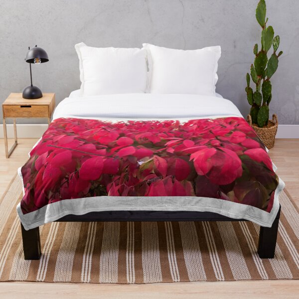 Item preview, Colors of nature designed and sold by Lians.