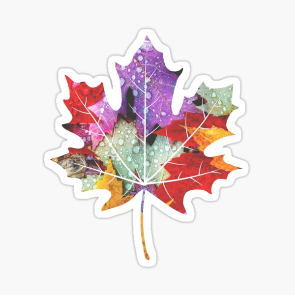 Autumn Maple Leaf Sticker