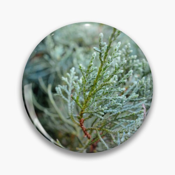 Item preview, Evergreen designed and sold by BattleMountain.