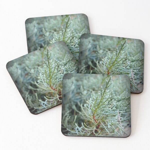 Item preview, Evergreen designed and sold by BattleMountain.