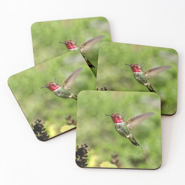 Item preview, Red Headed Ruby Throated Hummingbird designed and sold by PsychoAlien.com.