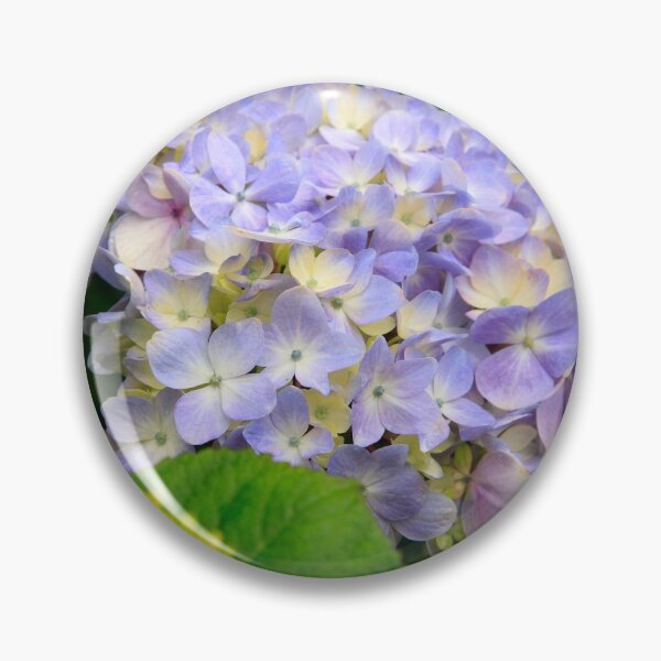 Item preview, Hydrangea blooming designed and sold by Gaspar Avila.