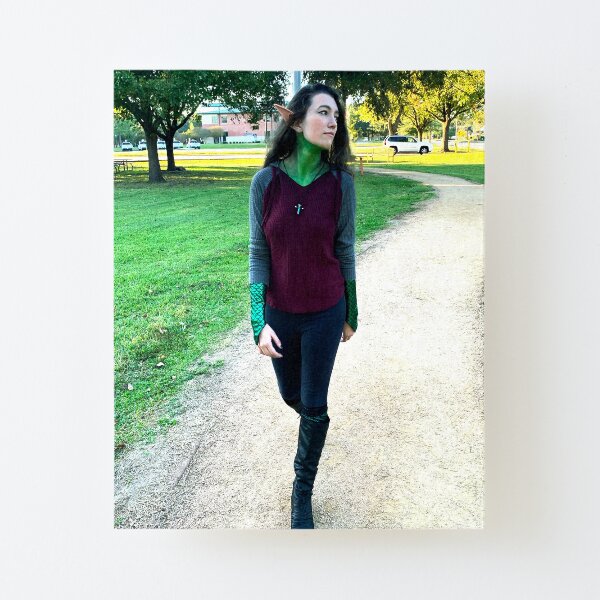 Absyn Cosplay 3 Canvas Mounted Print