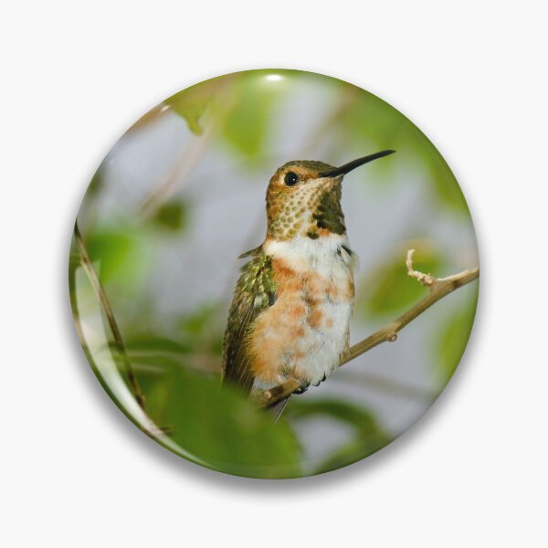 Artikelvorschau, Hummingbird Blending In entworfen und verkauft von PsychoAlien.com.