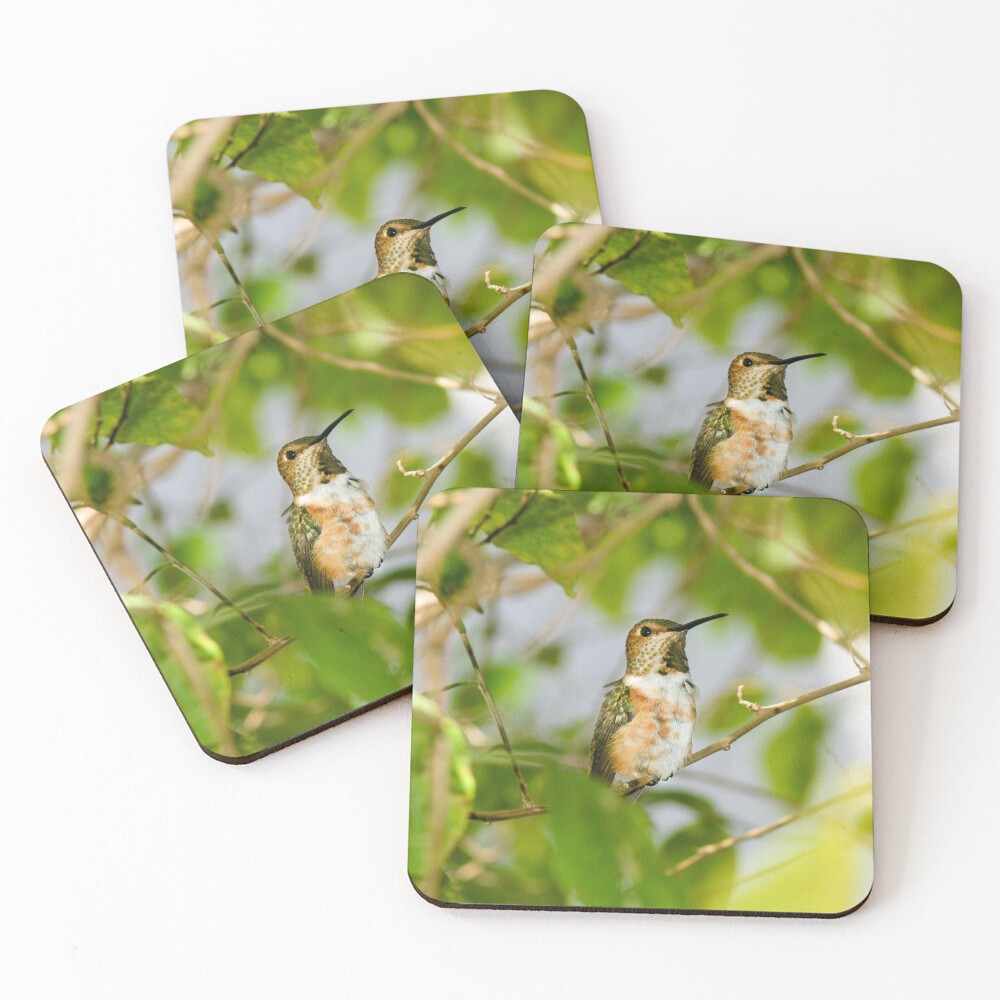 Item preview, Coasters (Set of 4) designed and sold by DARRINSWORK.