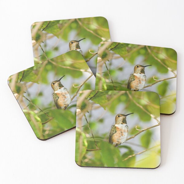 Item preview, Hummingbird Blending In designed and sold by PsychoAlien.com.