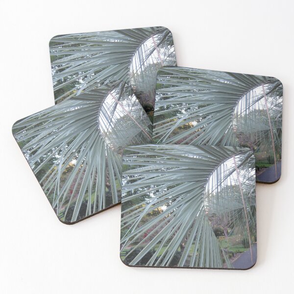 Item preview, Palm Fronds designed and sold by LizEllisPhotos.