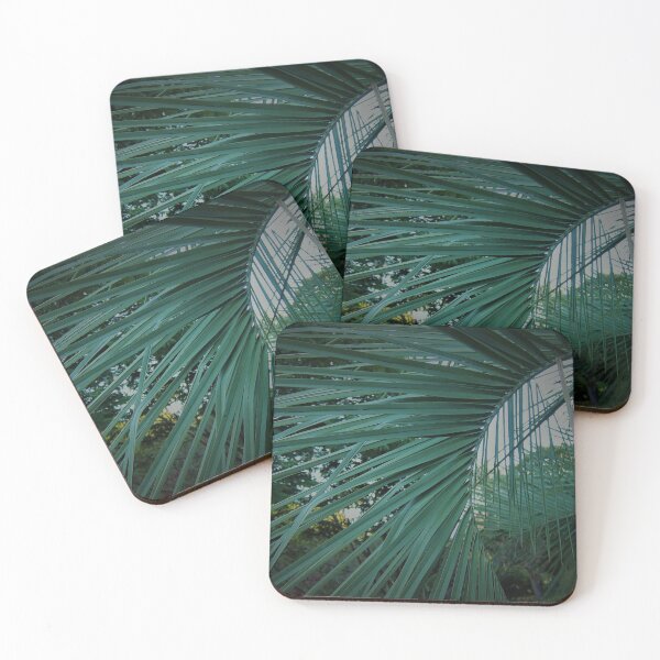 Item preview, Fronds designed and sold by LizEllisPhotos.