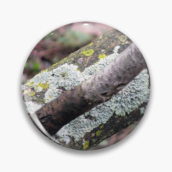Item preview, Lichen in Spring designed and sold by MarjorieB.