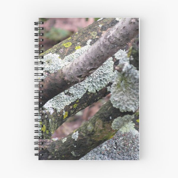 Item preview, Lichen in Spring designed and sold by MarjorieB.